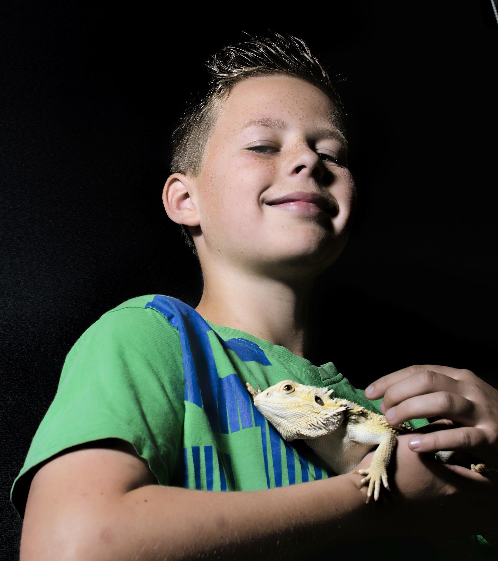 gecko n boy pixabay